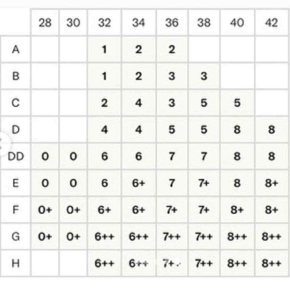 NEW Knix Size 8+ WingWoman Contour Bra Beige 42E 40F 42F - Picture 11 of 11